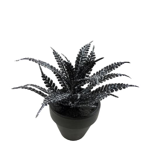 Assorted Mini Black Potted Succulent, 1pc. by Ashland®